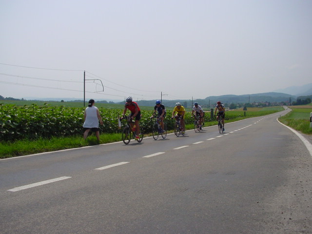 d049.jpg