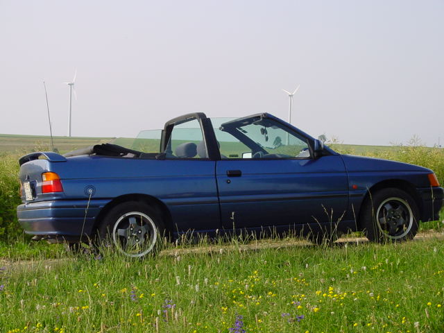 d077.jpg