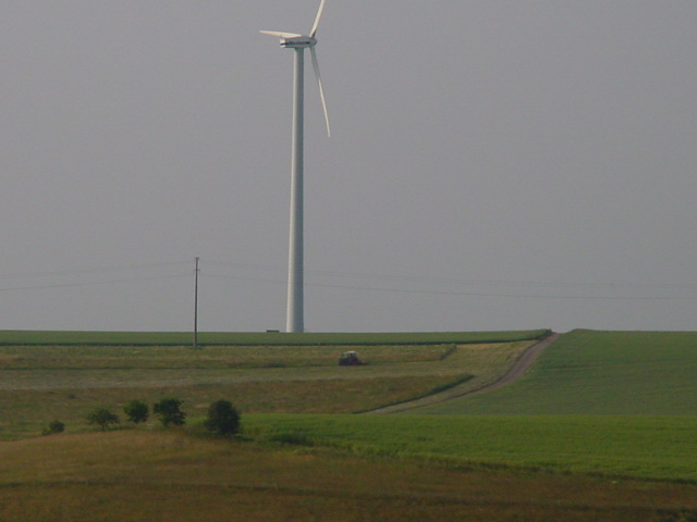 d085.jpg