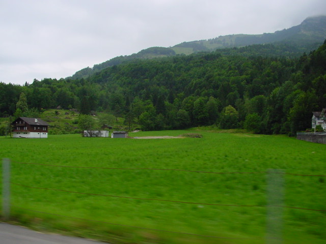d144.jpg