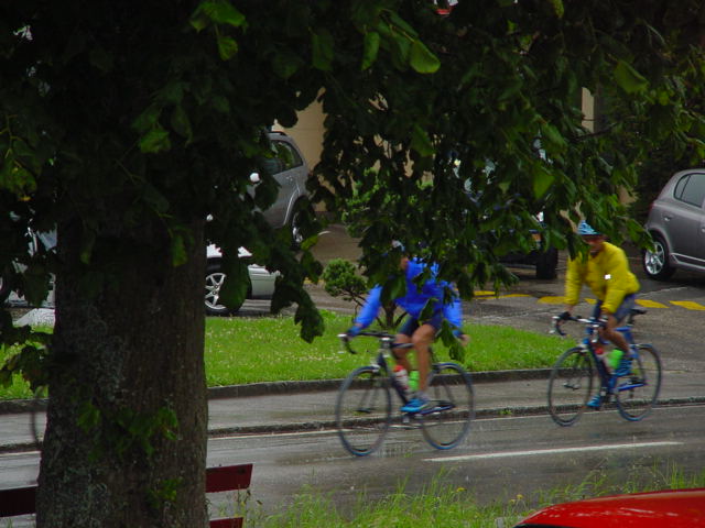 d196.jpg