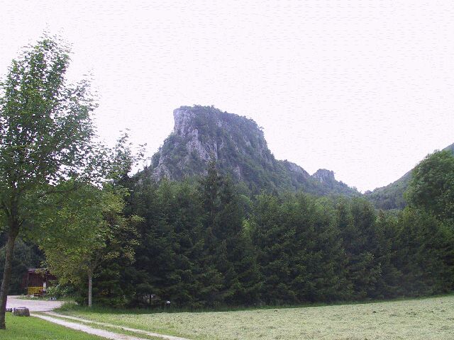 g13.jpg