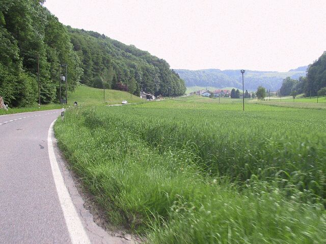 g15.jpg