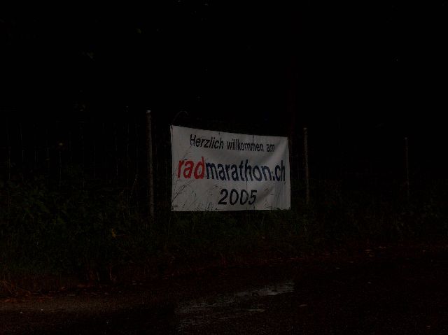t113.jpg