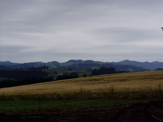 t144.jpg