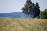 image080